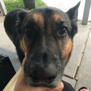 Meet your Posher, Nikki